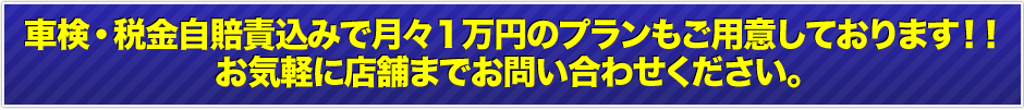 ただいまキャンペーン実施中！車検・税金・自賠責込で月々１万円のプランもご用意しております!!